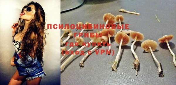 кристаллы Алексин