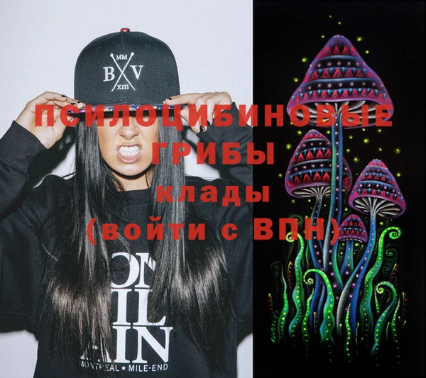 кокс Алзамай