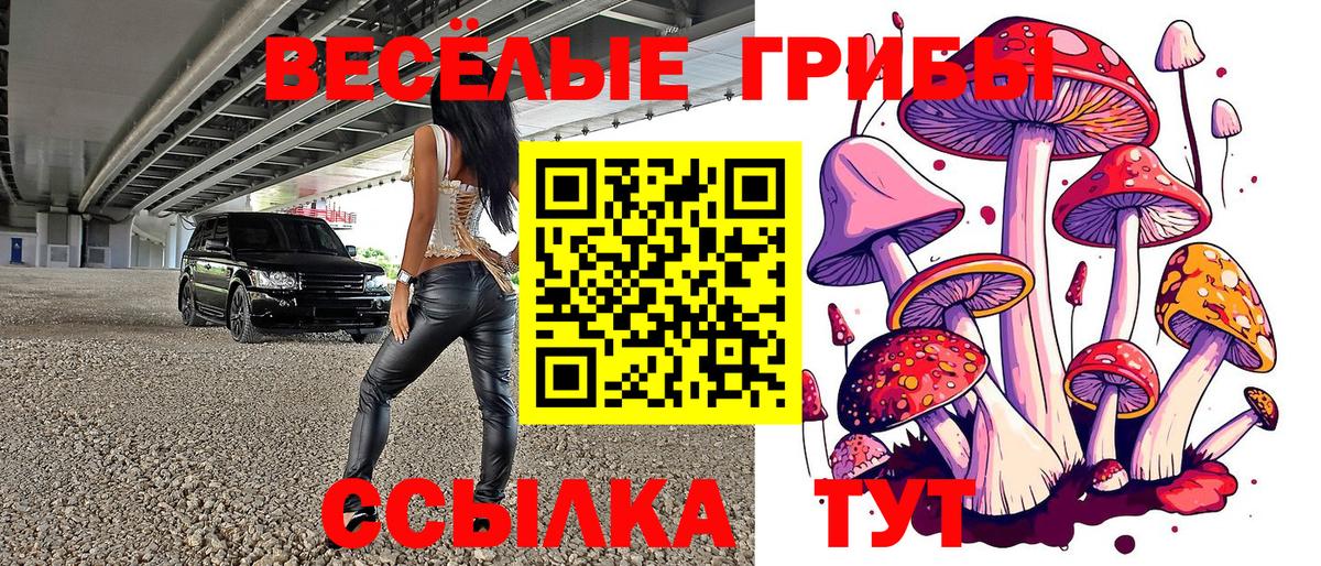 Галлюциногенные грибы Magic Shrooms  Вход с VPN  Набережные Челны 